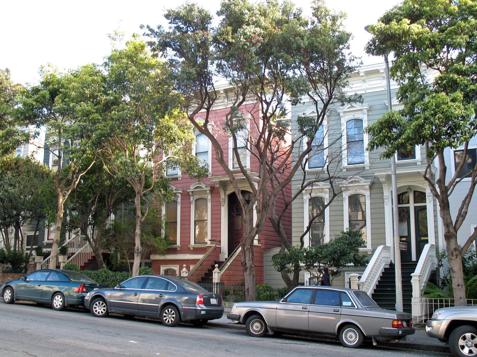 Victorian houses on Bush Street, San Francisco, behind street trees.